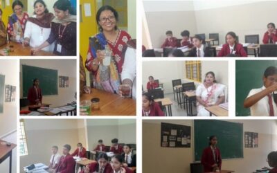Report on Food Adulteration Experiment | Class: X Commerce